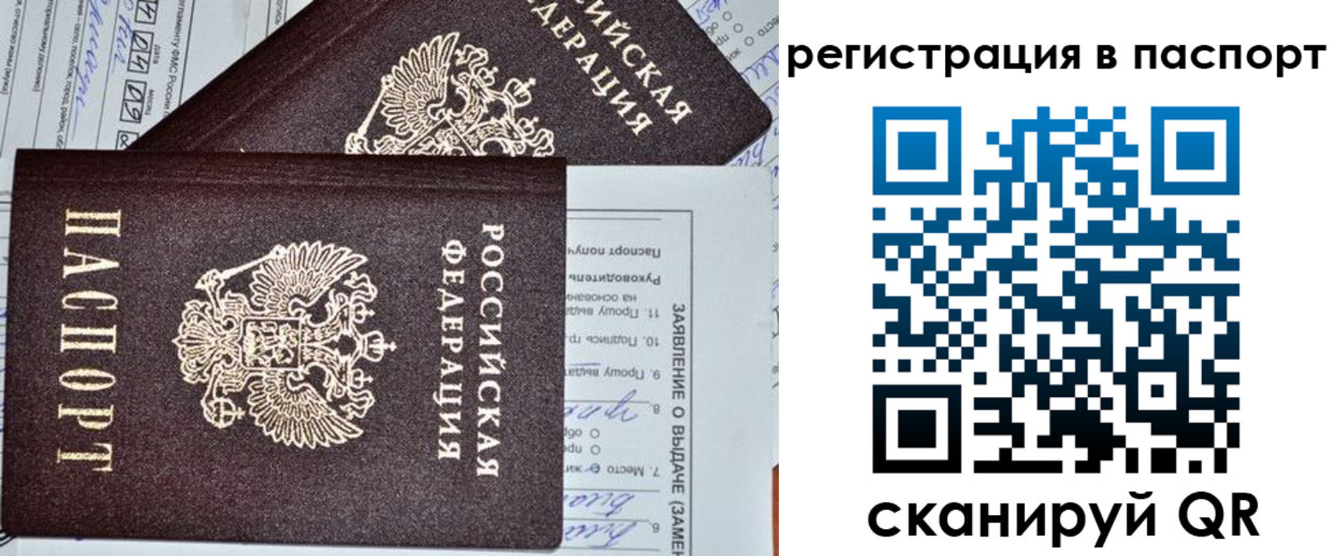 прописка законно в Краснознаменске